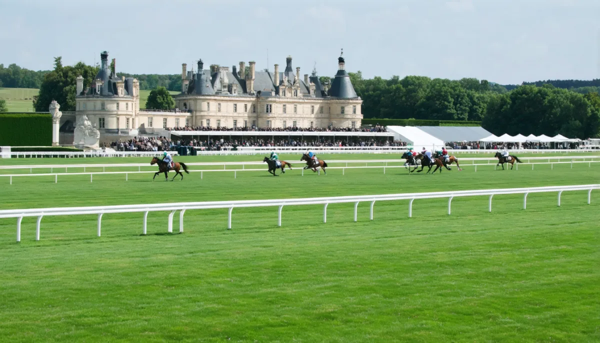 découvrez les hippodromes incontournables en france, des sites équestres emblématiques où passion et spectacle se rencontrent pour vous offrir des événements mémorables.