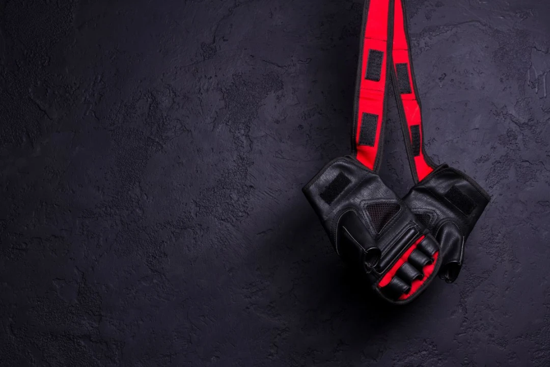 Quel gant de MMA choisir : le guide complet